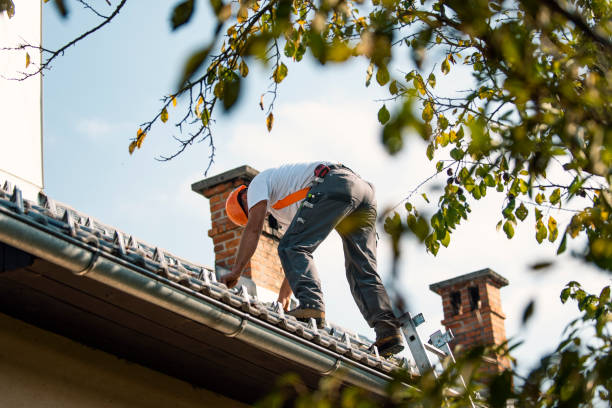Best Tile Roofing Contractor  in Albany, IN