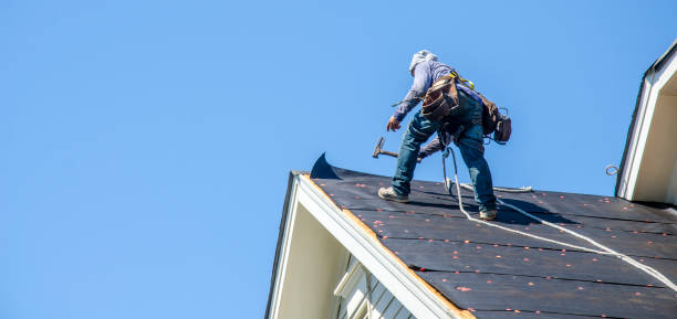 Best Residential Roofing Contractor  in Albany, IN